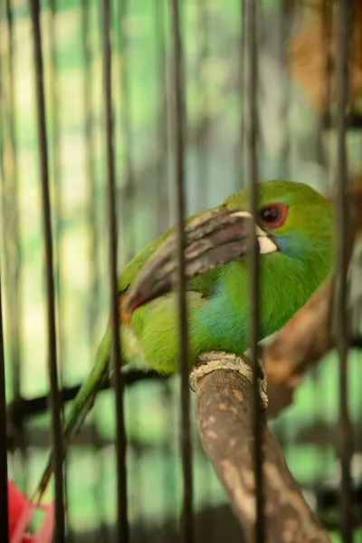 DSC_2306 (Large).JPG